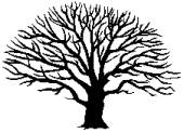 baretree.gif